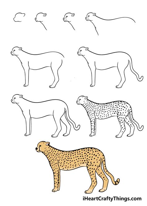 Cheetahs are the fastest land mammal, so draw the legs slender and long. Step 17: Use the initial shapes as guides to draw the rest of the cheetah's body. Use quick, short strokes to represent fur. Draw a small waist and a …